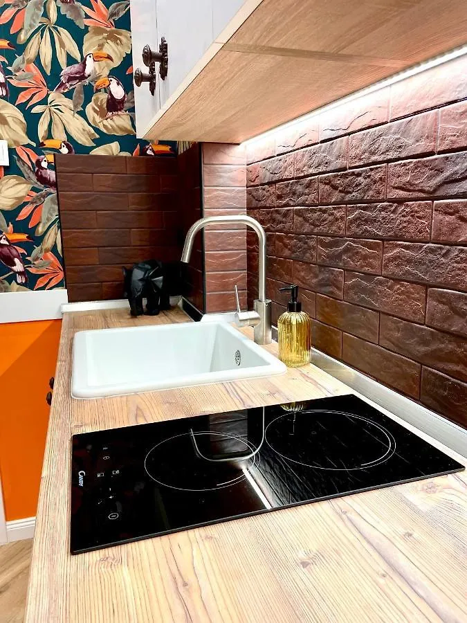 Thermal Apartmanok Raday 4 - Zendaya Hajdúszoboszló Appartement